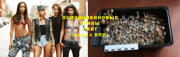 соль курить ск Алзамай
