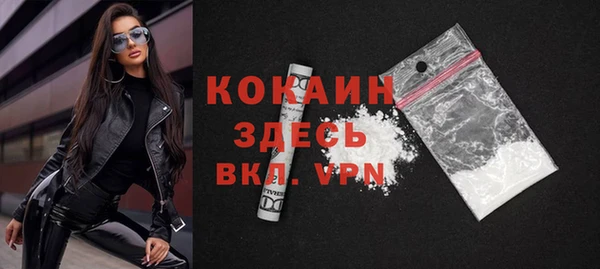 мет Алексин
