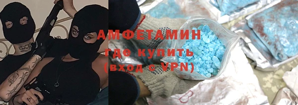 мет Алексин