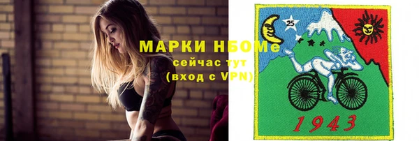 мет Алексин